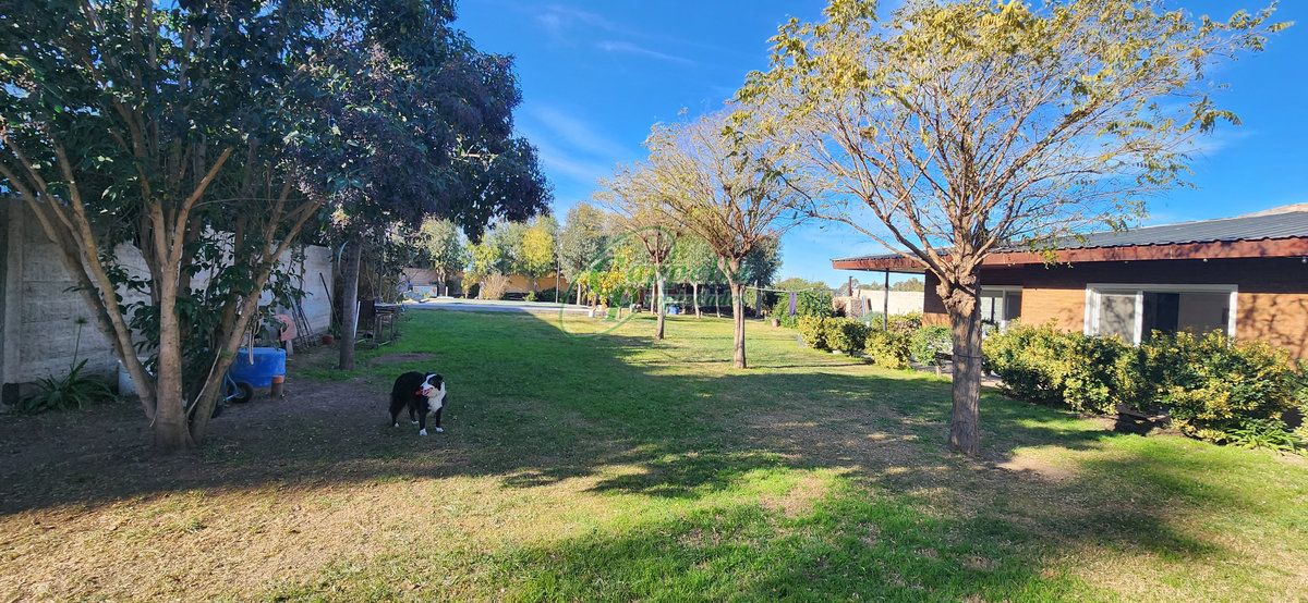 Casa en venta – Pedro del Rio 47 – foto 4